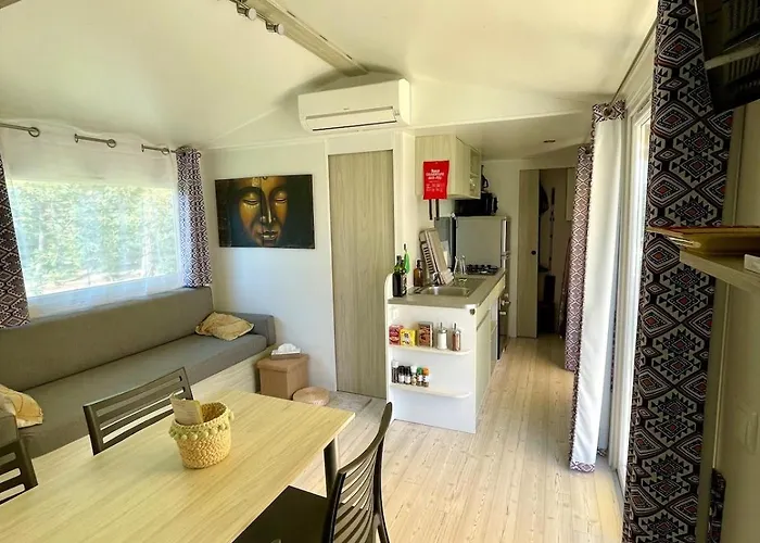 Sous Les Arbres ! - Mobil-home 2 - Clim - Animaux Admis Апартаменты